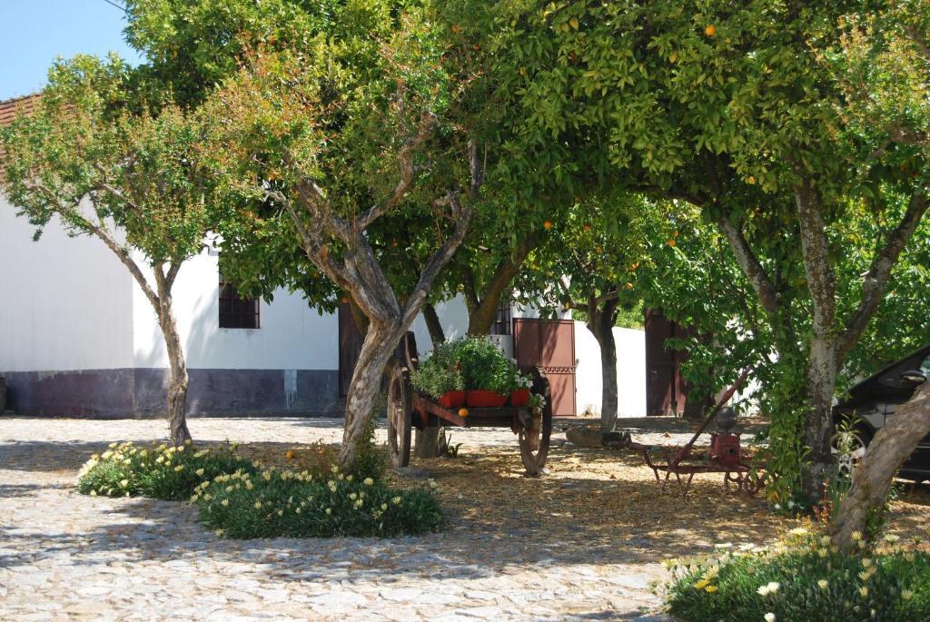 Quinta De Tourais Hotel Lamego Esterno foto