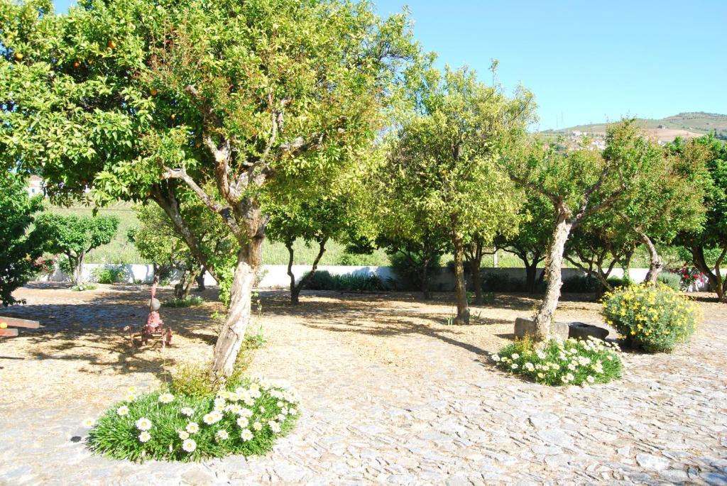 Quinta De Tourais Hotel Lamego Esterno foto
